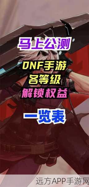 DNF游戏安装盘优化指南,解锁极致运行效率与性能的秘诀