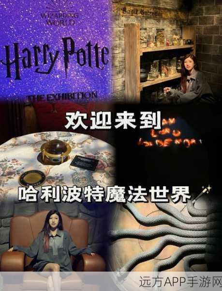 哈利波特魔法觉醒，狂风峭壁探险全攻略，揭秘魔法技巧，登顶荣耀之巅