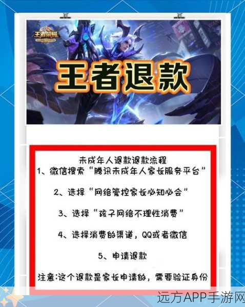 航海王热血航线退款全攻略，安卓与iOS退款步骤详解