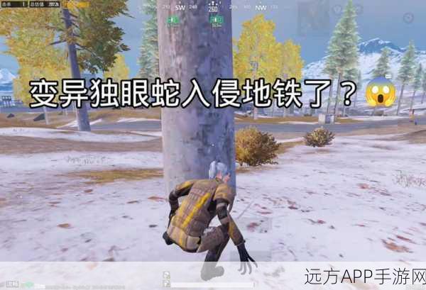 地铁逃生主播变身秘籍，揭秘小绿人更改技巧与赛事亮点
