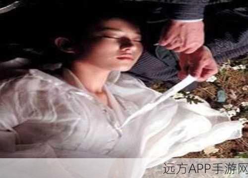 神雕侠侣手游剧情解析,小龙女被玷污情节背后的深意与玩家反响