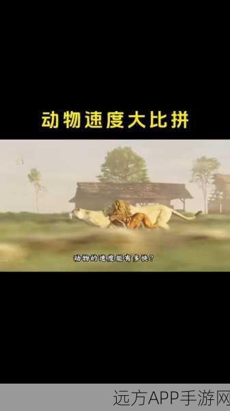 热门国产休闲益智新游，动物追逐奔跑趣味上线，挑战你的反应极限！