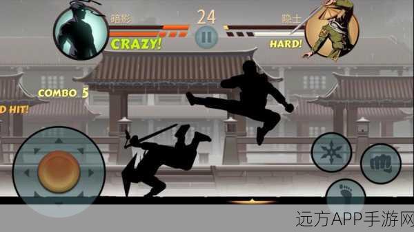 暗影格斗2深度攻略,揭秘隐士魔法的习得之道