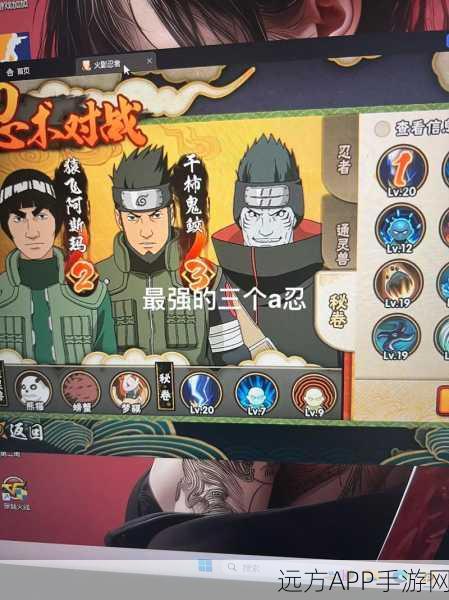 火影手游2025,新区VS老区,新手入坑的完美抉择指南