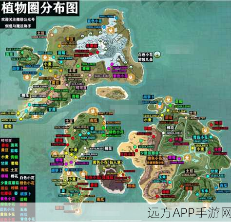 手游资讯，创造与魔法深度攻略，揭秘青色陆行鸟坐标与高效驯服秘籍