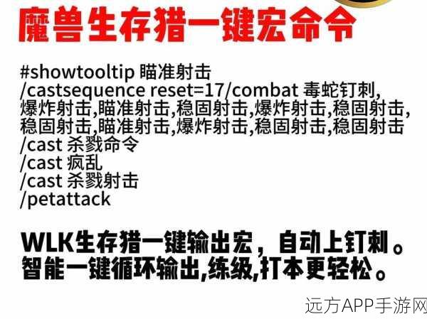 魔兽世界怀旧服巫妖王之怒，生存猎人宏与攻略深度解析