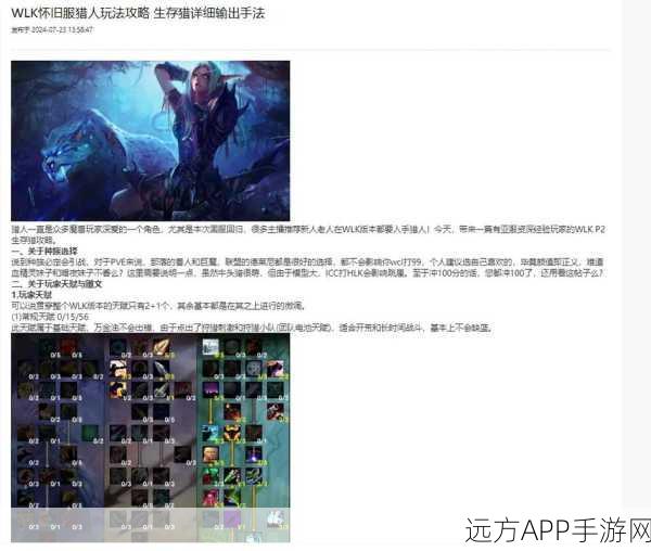魔兽世界怀旧服巫妖王之怒，生存猎人宏与攻略深度解析