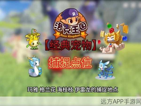 洛克王国彩灵捕捉全攻略,解锁稀有宠物的秘密技巧