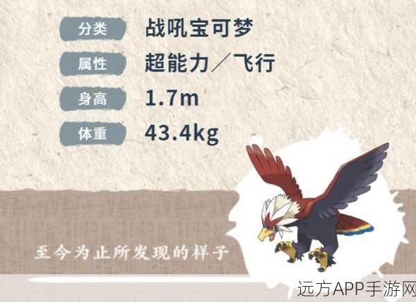 探秘宝可梦阿尔宙斯传说，勇士雄鹰的栖息地全解析