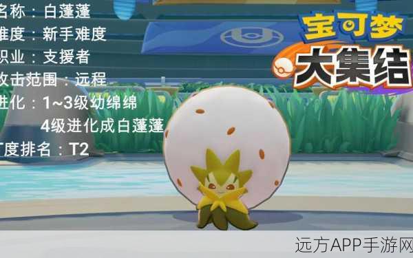 宝可梦大集结,白蓬蓬持有物搭配攻略,助你赛场称霸!