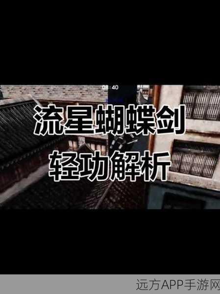 流星蝴蝶剑绝技揭秘,大锤必杀技如何称霸武林?