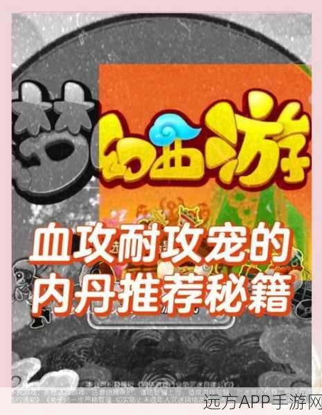 梦幻西游手游,揭秘低级内丹,宠物战力飙升的终极攻略