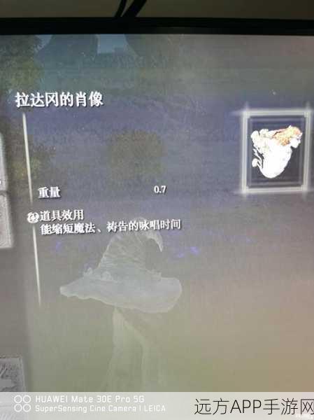 艾尔登法环深度攻略,250级法师加点全解析,打造极致输出!