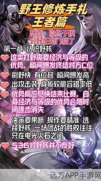 王者荣耀电竞选手成长之路,揭秘职业选手的修炼秘籍