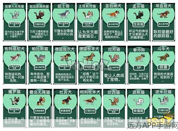 辐射避难所高手进阶，运气属性爆棚秘籍大公开