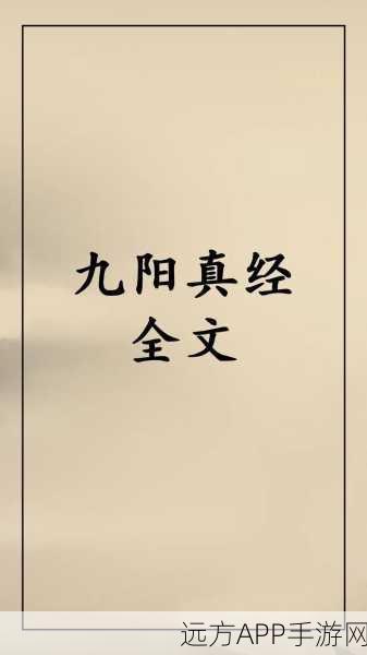 揭秘九阴真经作者，资源管理智慧与创作传奇深度剖析