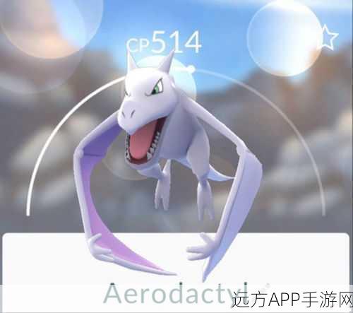口袋妖怪对决，钻石化石翼龙VS战槌龙，谁才是战场霸主？