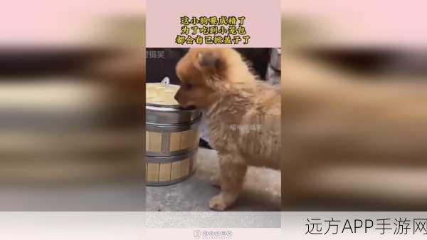 拨萝卜不盖被子视频:温馨夜晚:小动物们的萝卜冒险与被子守护