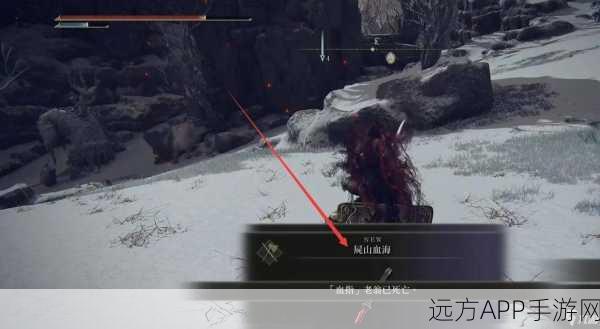 艾尔登法环,探寻尸山血海的神秘获取之道
