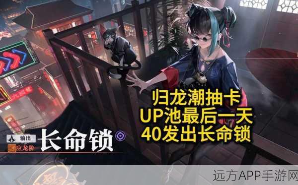 归龙潮预抽卡,潮品套装精选指南
