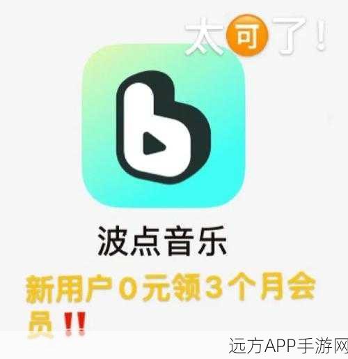 波点音乐账号位数之谜，深度探索与解析