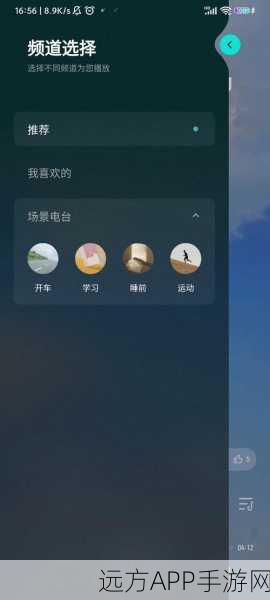 波点音乐账号位数之谜，深度探索与解析