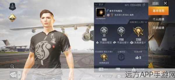 和平精英分批登陆时间全解析,不容错过的关键细节