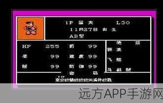 热血格斗传说,揭秘最强人选的神秘攻略