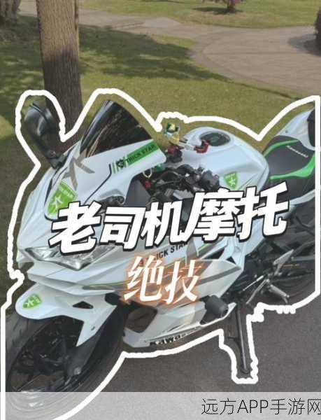 特技摩托血龙,狂飙秘籍 骑行绝技与载具详解