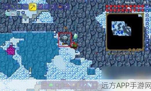 泰拉瑞亚深度攻略,揭秘冰霜之翼的获取之道