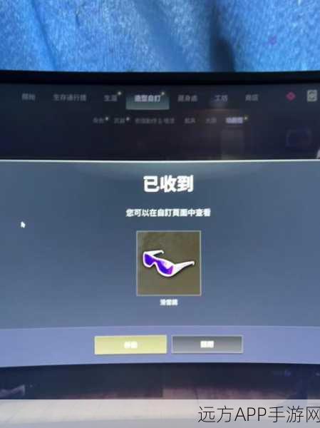 PUBG滑雪镜开箱攻略，揭秘哪个箱子更易出稀有款