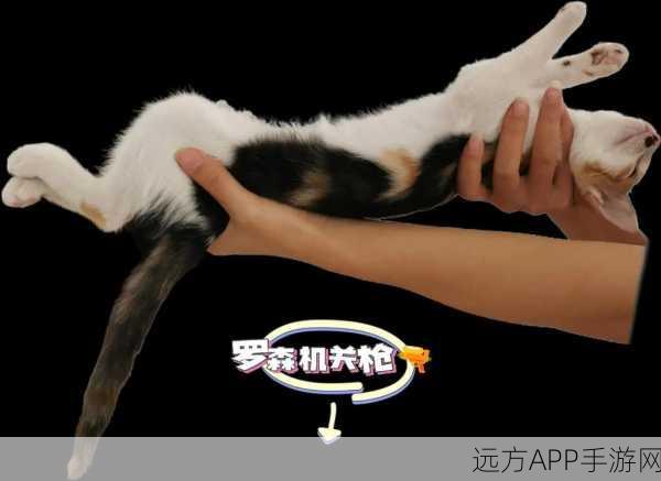 猫咪机关枪，策略塔防新体验，萌宠激战等你来战！