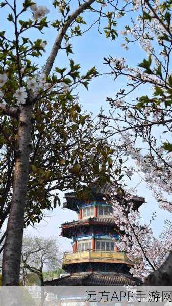 病勤楼栋樱花未增减:病勤楼栋樱花盛开,春日美景愈显动人