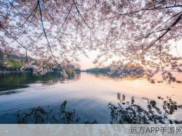 病勤楼栋樱花未增减:病勤楼栋樱花盛开,春日美景愈显动人