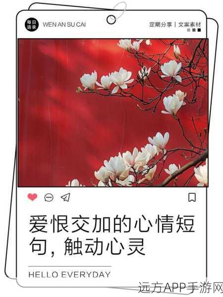 男女之间的唏嘘哩哩:男女情感交织中的唏嘘与思考:爱恨之间的细腻瞬间