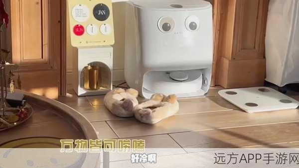 蘑菇视频在线吃瓜:畅享拓展蘑菇视频,轻松吃瓜乐不停!