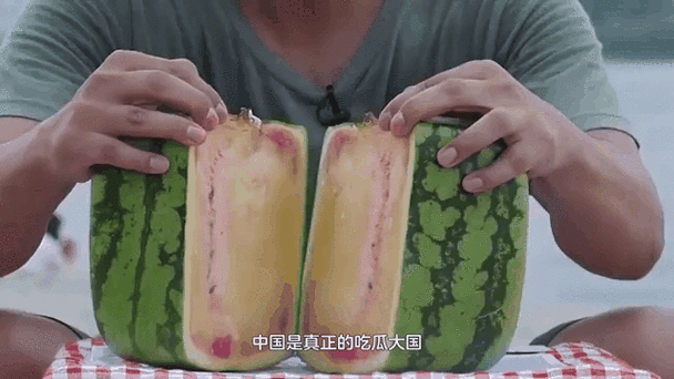 海角吃瓜:海角吃瓜:探秘边境小镇的美食与故事