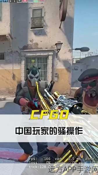 暴躁老阿姨玩csgo:暴躁老阿姨逆袭战场:CSGO中的精彩瞬间与幽默时刻