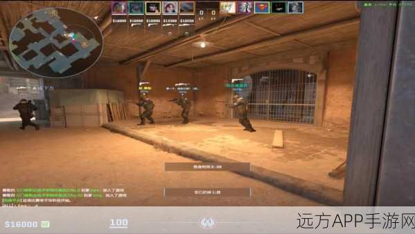 暴躁老阿姨玩csgo:暴躁老阿姨逆袭战场:CSGO中的精彩瞬间与幽默时刻