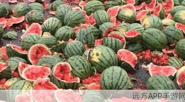 51 吃瓜：“吃瓜群众：围观那些让人哭笑不得的八卦新闻”
