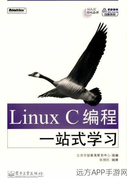 17c13.c起草：17c13.c：探索C语言编程的奥秘与应用实践