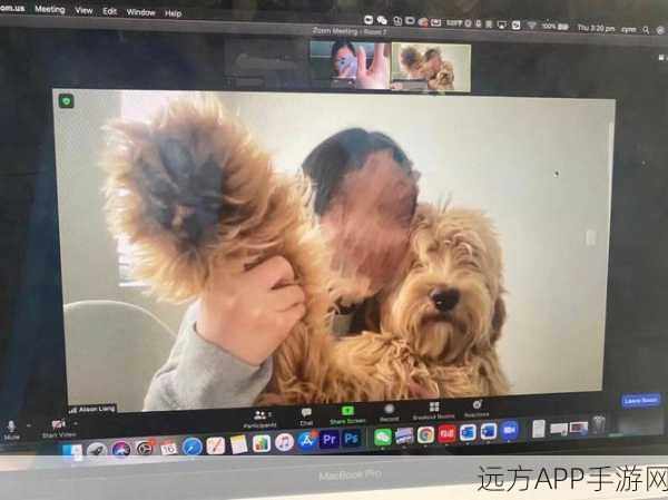狗Zoom和人类Zoom哪个好：在宠物沟通与人际交流中，狗Zoom和人类Zoom哪个更优秀？