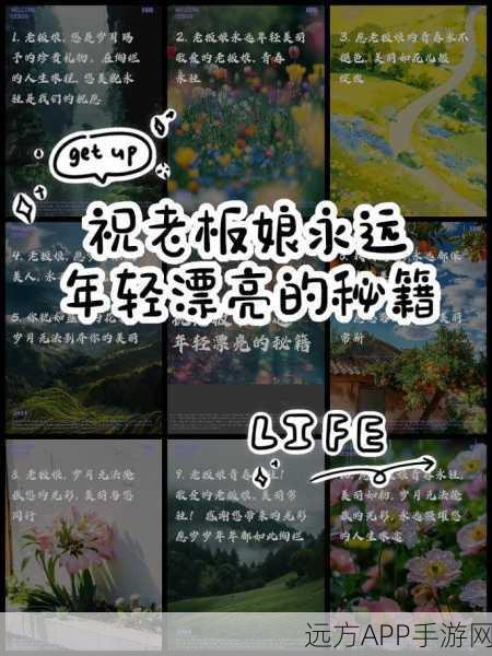 漾出over flower第一季翻译：绽放的花海：拓展漾出第一季的美丽旅程