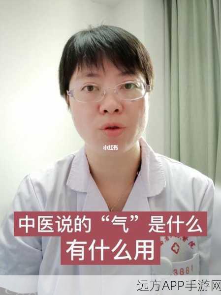妙手中医小说陈思雅免费阅读：妙手中医陈思雅：传承医学的传奇之旅