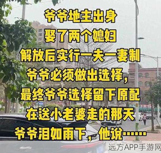 几个老爷弄一个丫头：几位老爷共养一名丫头，情感纠葛引发的故事