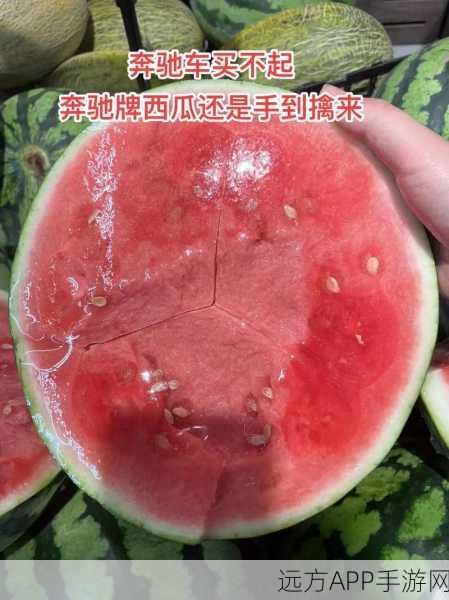 51cg全网最快最火的瓜：51cg超热门，网络速度最快的瓜＂🍉