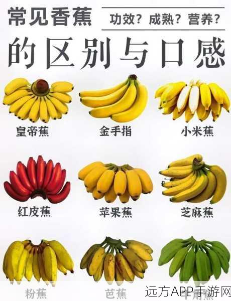 香蕉福利导航：香蕉福利指南＂ 🍌