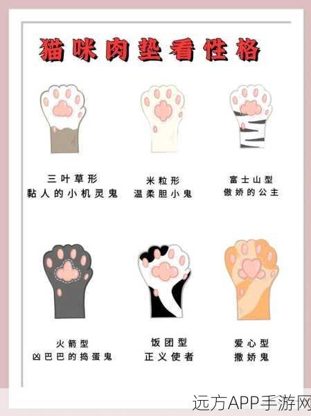 快猫破解版：迅捷猫破解版本＂ 🐾