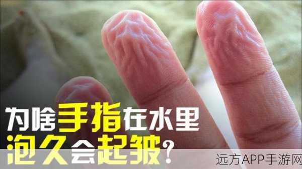 手指划入缝隙挖水视频：手指深入缝隙取水视频＂💧