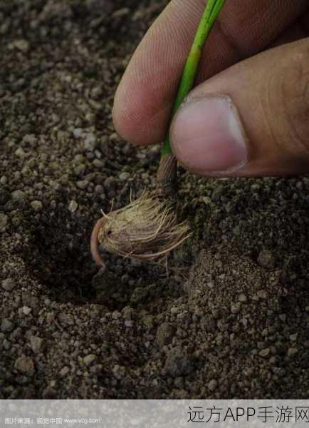 日本大豆行情网站官网首页查询：查询日本大豆市场行情官网首页＂ 🌱